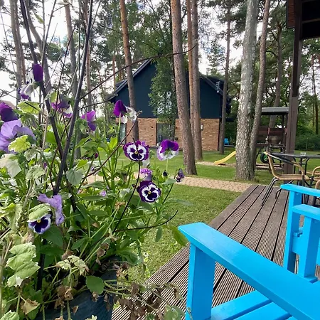 Apartman Poezja Ciszy Brzoza *