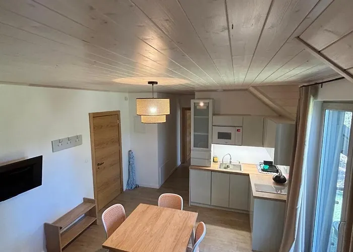 Daire Poezja Ciszy Brzoza *