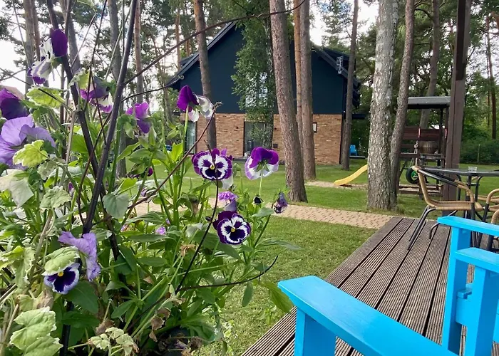 Daire Poezja Ciszy Brzoza *