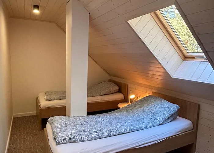 Daire Poezja Ciszy Brzoza